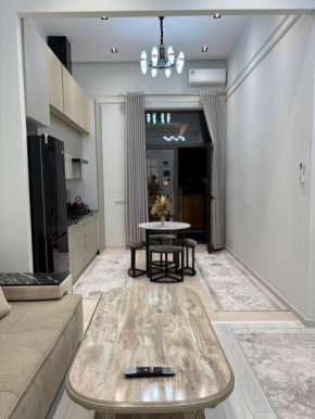 Tashkent city park Apartment